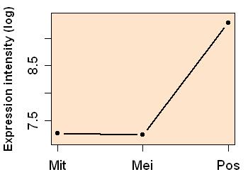 plot image