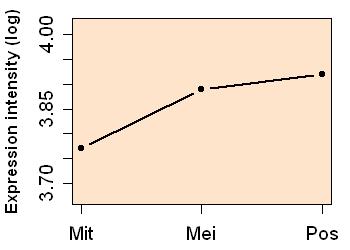 plot image