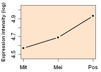 plot image