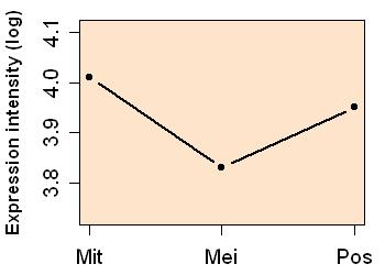 plot image