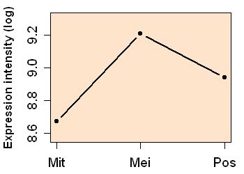 plot image