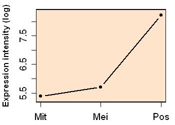 plot image