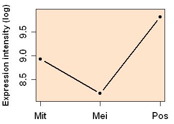 plot image