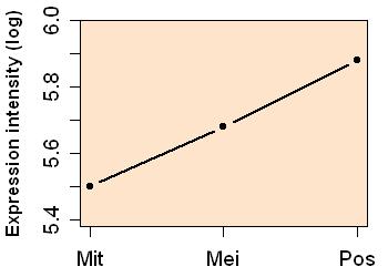 plot image