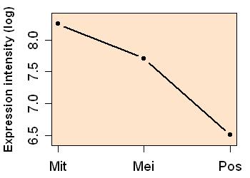 plot image