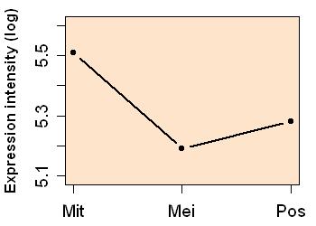 plot image