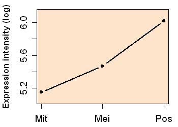 plot image