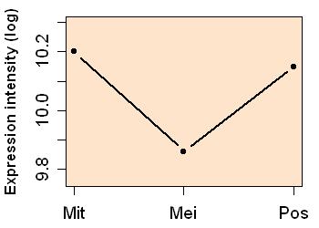 plot image