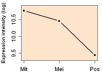 plot image