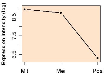 plot image