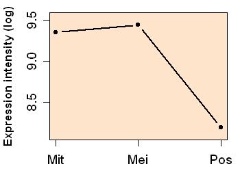 plot image