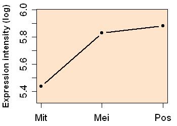 plot image