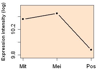 plot image