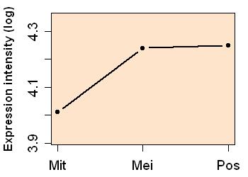 plot image