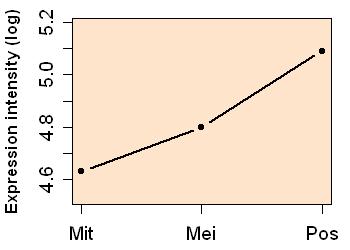 plot image