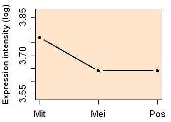 plot image