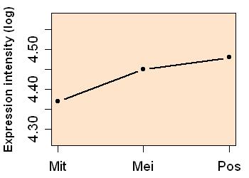 plot image