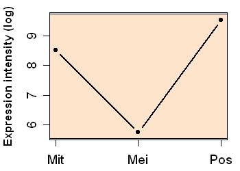 plot image