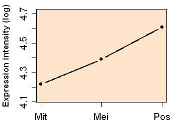 plot image