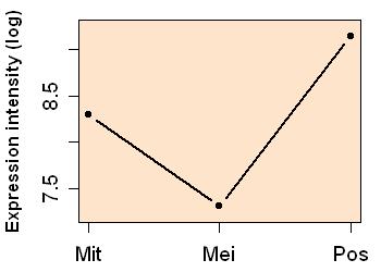 plot image