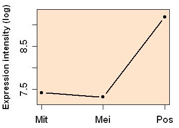 plot image