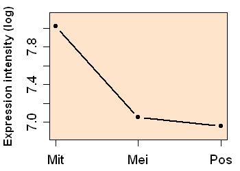 plot image