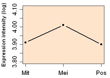 plot image