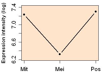 plot image