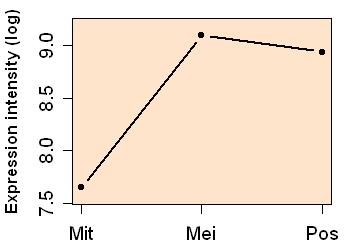 plot image