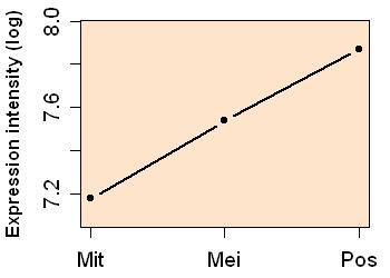 plot image