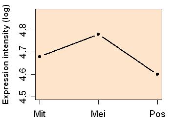 plot image