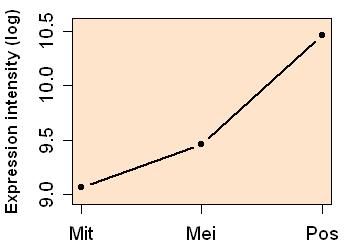 plot image