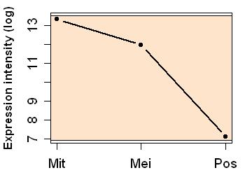 plot image