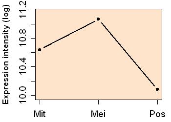 plot image