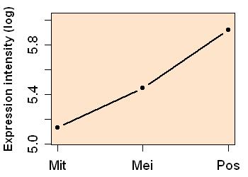 plot image