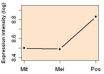 plot image