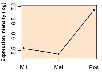 plot image