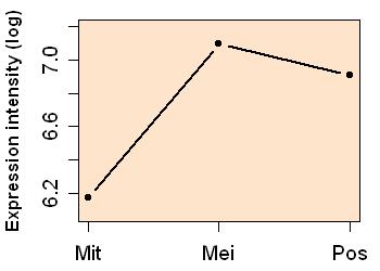 plot image