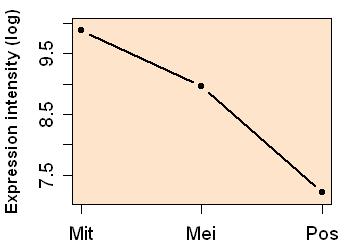 plot image