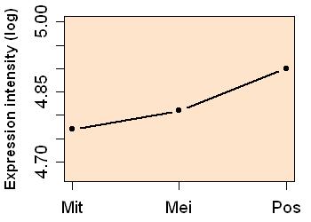 plot image