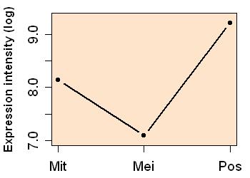 plot image