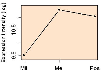 plot image