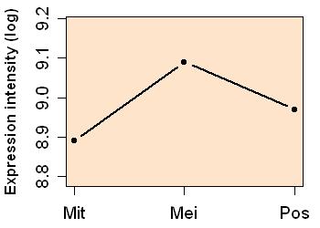 plot image