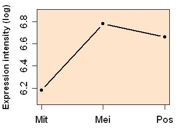 plot image