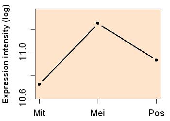 plot image