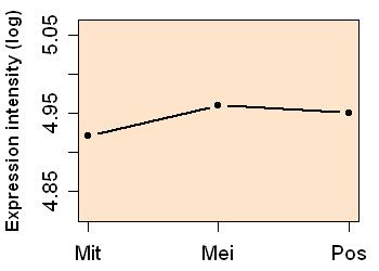 plot image