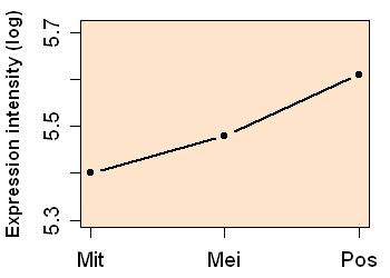 plot image