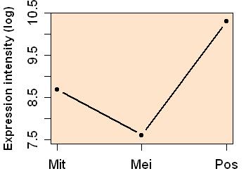 plot image