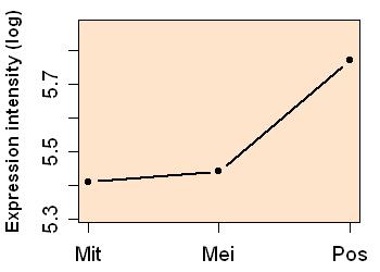 plot image