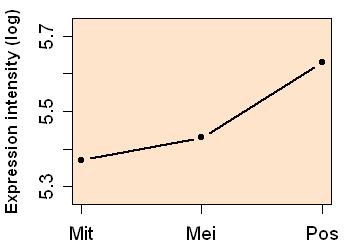 plot image